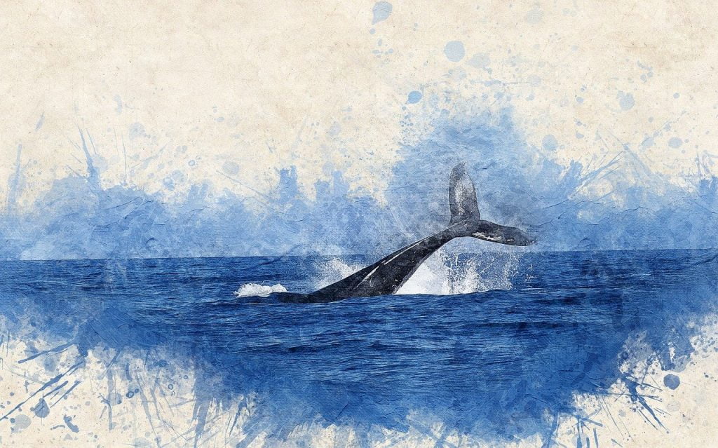 whale, watercolor, sea-2998812.jpg